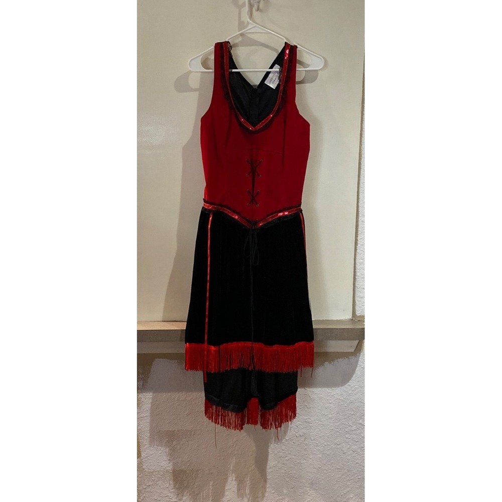 Cinema Secrets Costume Gallery Devil Vampire Dress Womens Red Black Large Velvet